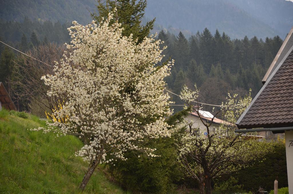 Pension Zum Schreiner Hermagor-Pressegger See Exteriér fotografie