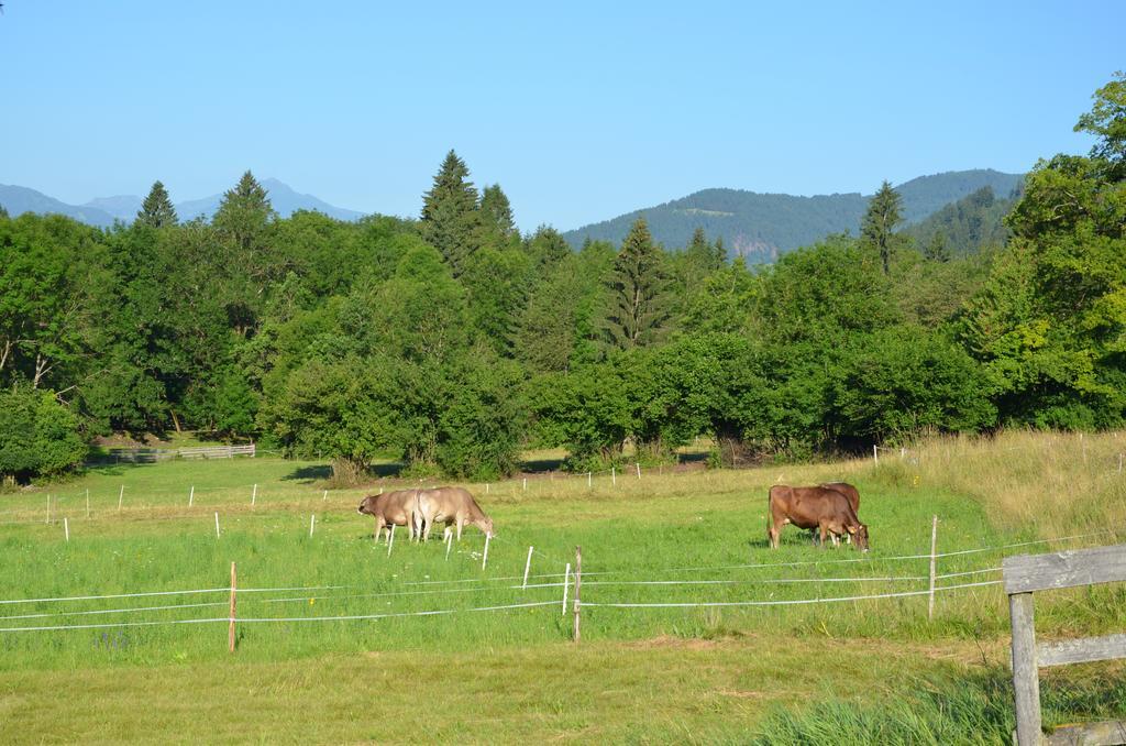 Pension Zum Schreiner Hermagor-Pressegger See Exteriér fotografie